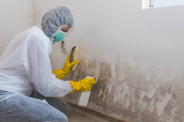 Best Mold Remediation  in Fuquay Varina, NC