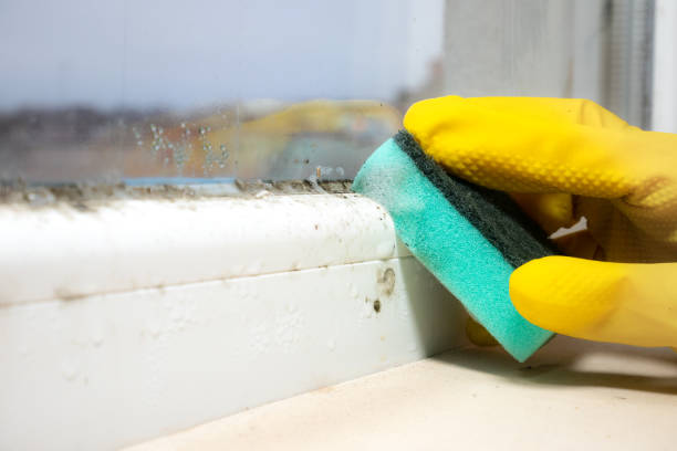 Trusted Fuquay Varina, NC Mold Removal Experts