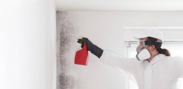 Best Emergency Mold Removal  in Fuquay Varina, NC